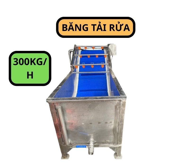 Băng tải rửa nông sản 300kg TPT59 2 Băng tải rửa nông sản 300kg TPT59 - Ảnh 2