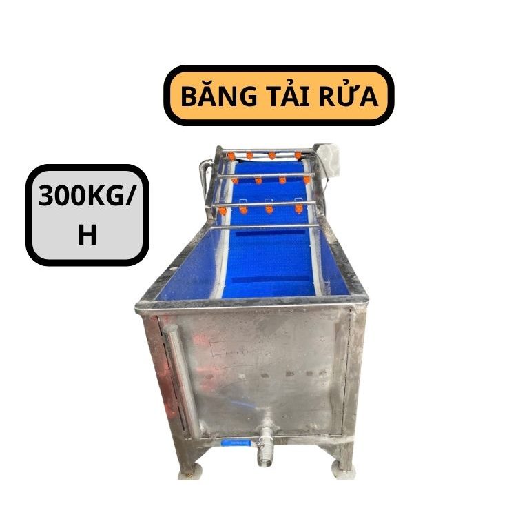 Băng tải rửa nông sản 300kg TPT59 1 Băng tải rửa nông sản 300kg TPT59